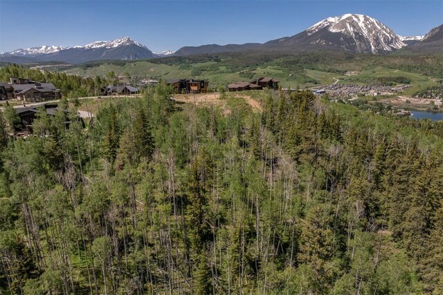 70 Mayfly Dr, Silverthorne, CO 80498