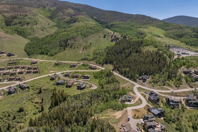70 Mayfly Dr, Silverthorne, CO 80498