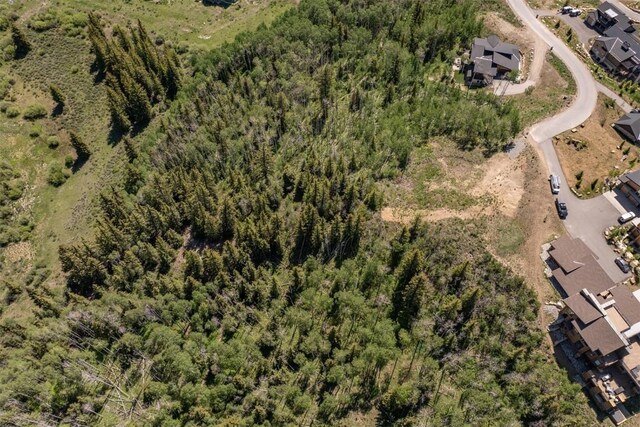 70 Mayfly Dr, Silverthorne, CO 80498