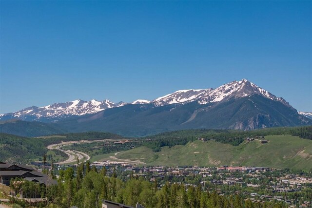 70 Mayfly Dr, Silverthorne, CO 80498