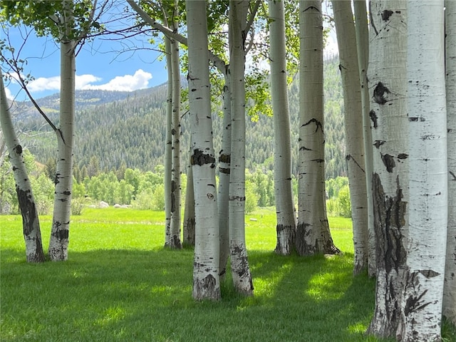 33690 E US Highway 40, Steamboat Springs, CO 80487 - photo 35