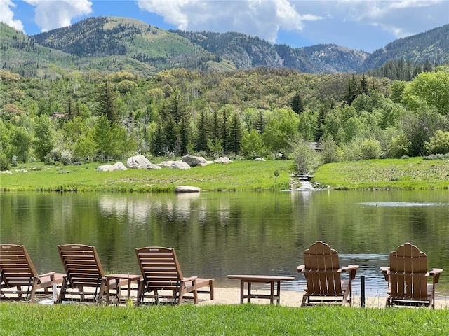 33690 E US Highway 40, Steamboat Springs, CO 80487 - photo 43