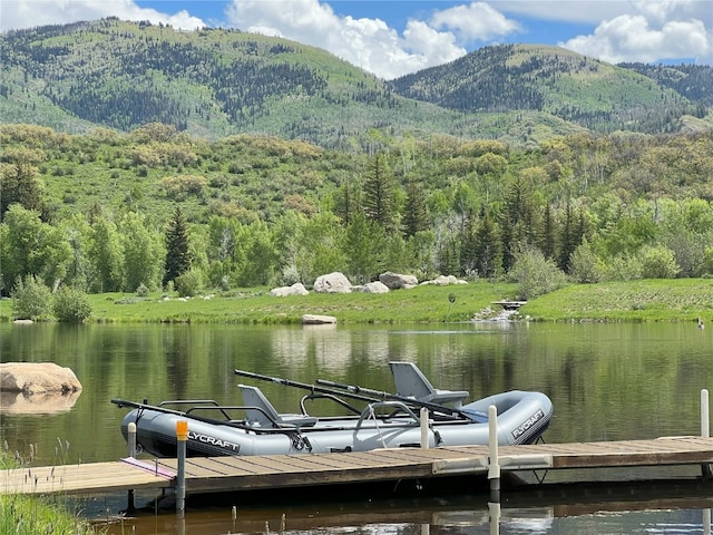 33690 E US Highway 40, Steamboat Springs, CO 80487 - photo 41