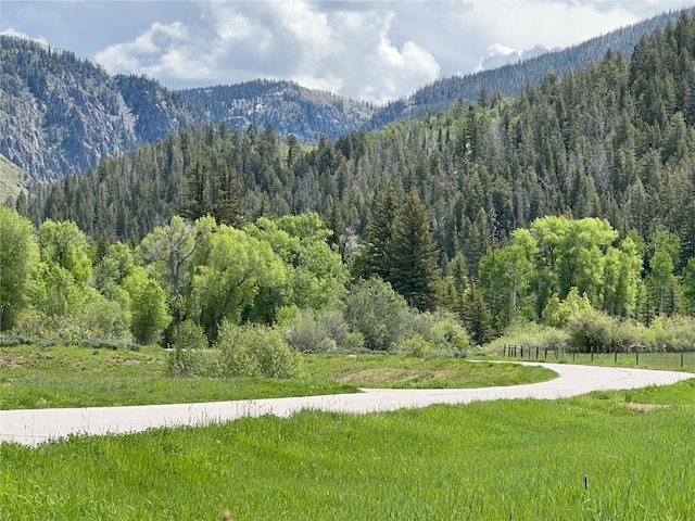33690 E US Highway 40, Steamboat Springs, CO 80487 - photo 32