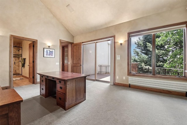 17 James Ct, Dillon, CO 80435 - kitchen with carpet flooring, high vaulted ceiling, radiator heating unit, and a center island