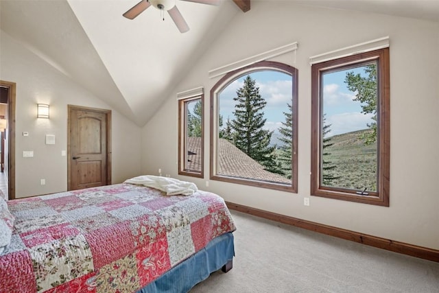 17 James Ct, Dillon, CO 80435 - bedroom with carpet flooring and a ceiling fan