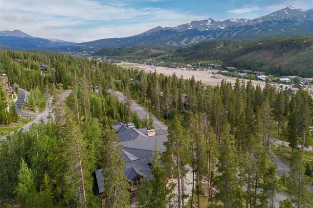 8 Fletcher Ct, Breckenridge, CO 80424 - photo 49