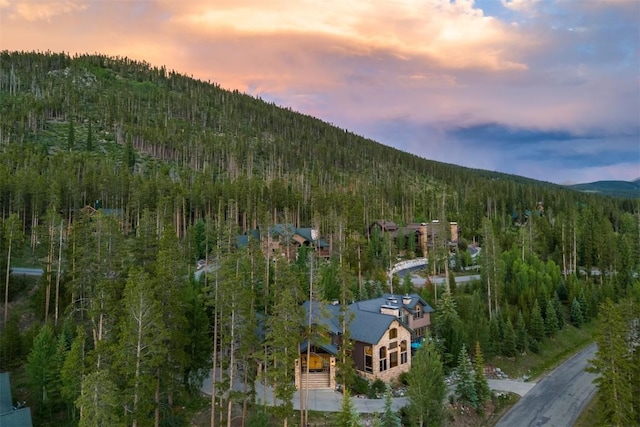 8 Fletcher Ct, Breckenridge, CO 80424 - photo 47