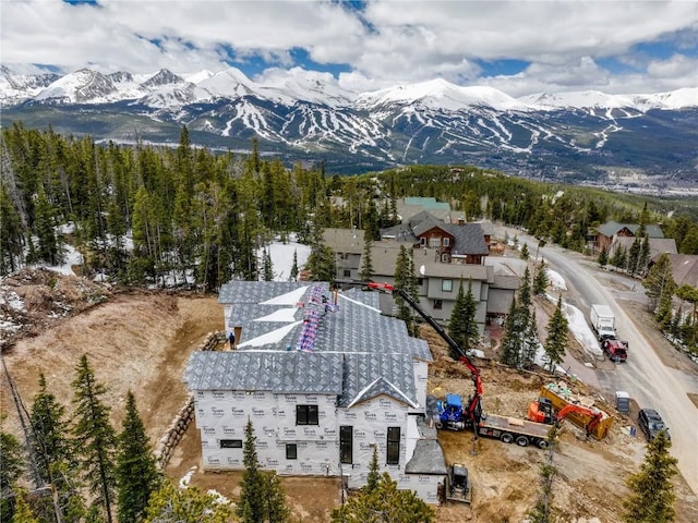 528 N Fuller Placer Rd, Breckenridge, CO 80424 - photo 11