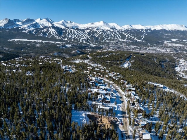 528 N Fuller Placer Rd, Breckenridge, CO 80424 - photo 9