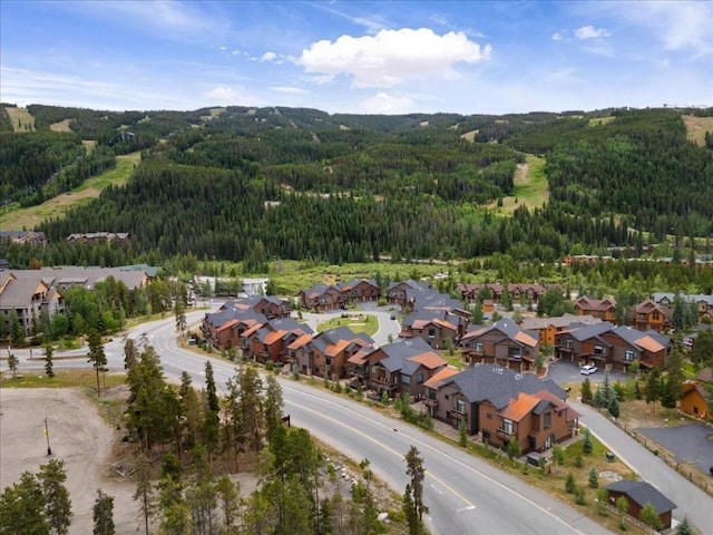 78 Erickson Loop, Keystone, CO 80435 - photo 34