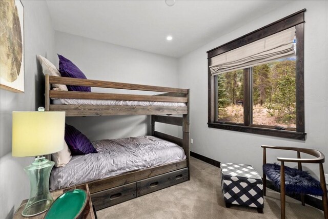 78 Erickson Loop, Keystone, CO 80435 - photo 22