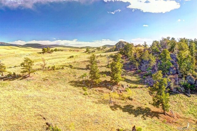 2171 Watonga Rd, Hartsel, CO 80449