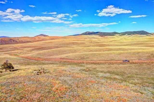2171 Watonga Rd, Hartsel, CO 80449