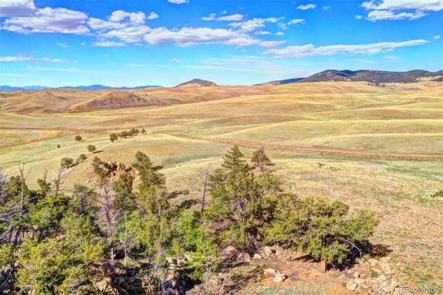 2171 Watonga Rd, Hartsel, CO 80449