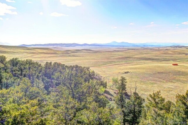 2171 Watonga Rd, Hartsel, CO 80449