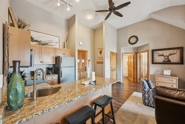kitchen with a sink, dark wood-style flooring, high vaulted ceiling, a ceiling fan, and freestanding refrigerator