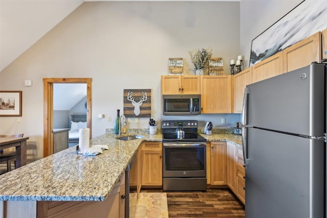 kitchen with a sink, high vaulted ceiling, dark wood-type flooring, a peninsula, and appliances with stainless steel finishes