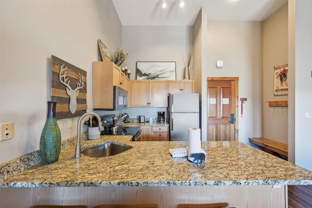 kitchen with light stone counters, a sink, light brown cabinets, stainless steel appliances, and a peninsula