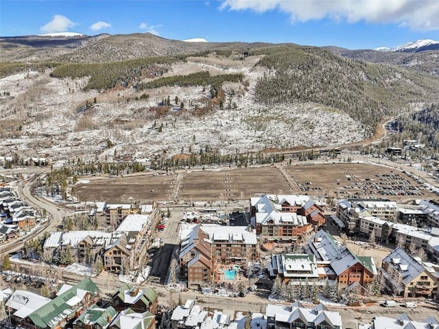 birds eye view of property featuring a mountain view