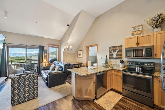 kitchen featuring a sink, dark wood-style flooring, a chandelier, a peninsula, and appliances with stainless steel finishes
