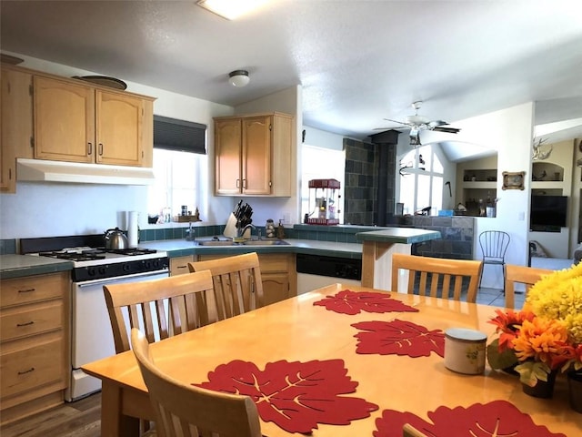 kitchen with under cabinet range hood, dishwashing machine, a ceiling fan, white gas stove, and a peninsula