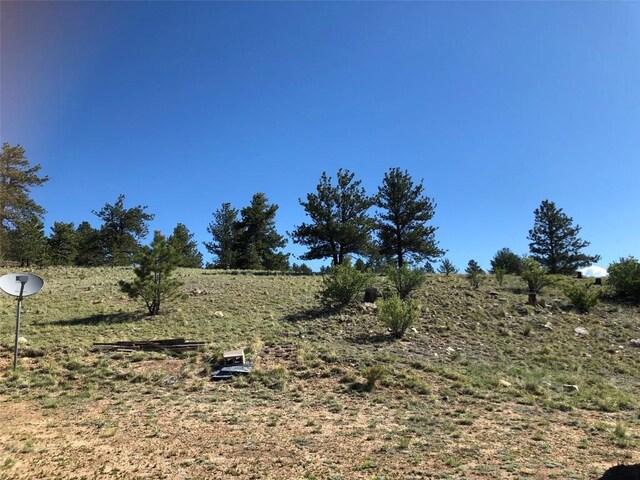 1983 Arapahoe Rd, Hartsel, CO 80449 - view of nature