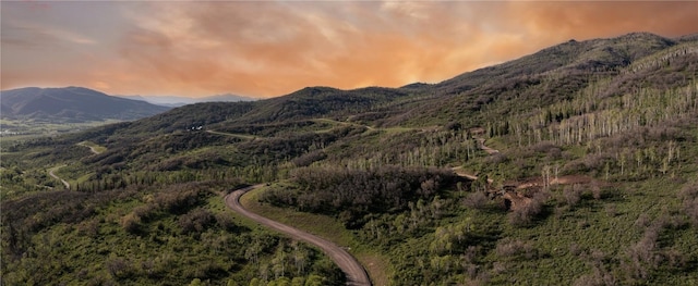 34100 Wildridge Ln, Steamboat Springs CO, 80487 land for sale