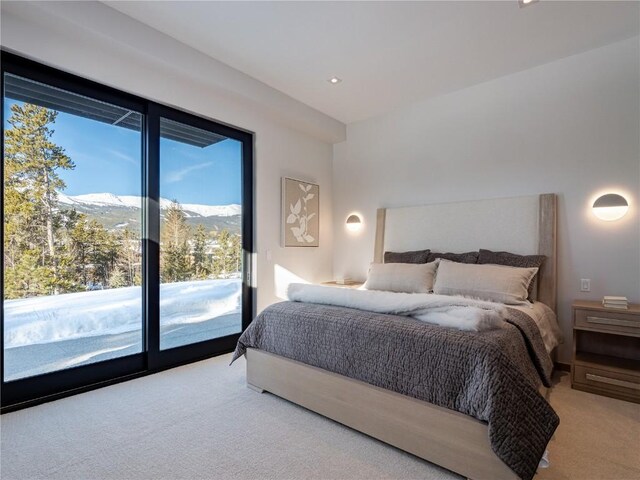 132 N Gold Flake Ter, Breckenridge, CO 80424 - photo 23