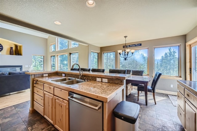 kitchen with plenty of natural light, stainless steel dishwasher, and a sink