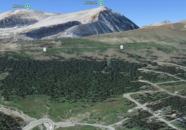 11 Kimmes Ln, Breckenridge, CO 80424
