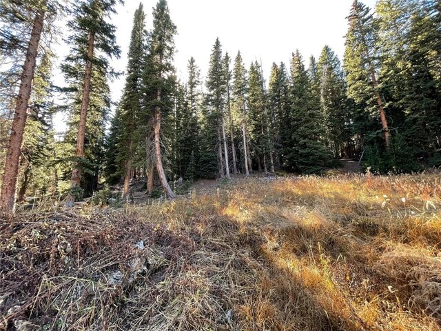 11 Kimmes Ln, Breckenridge, CO 80424