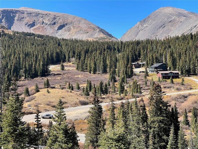 11 Kimmes Ln, Breckenridge, CO 80424