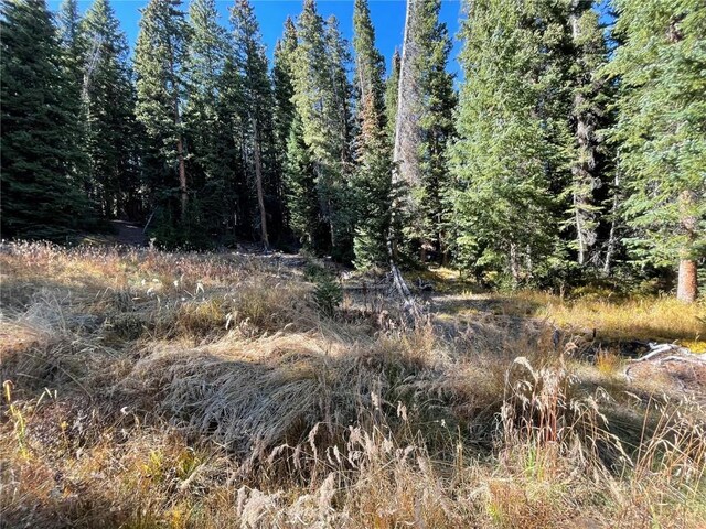 11 Kimmes Ln, Breckenridge, CO 80424