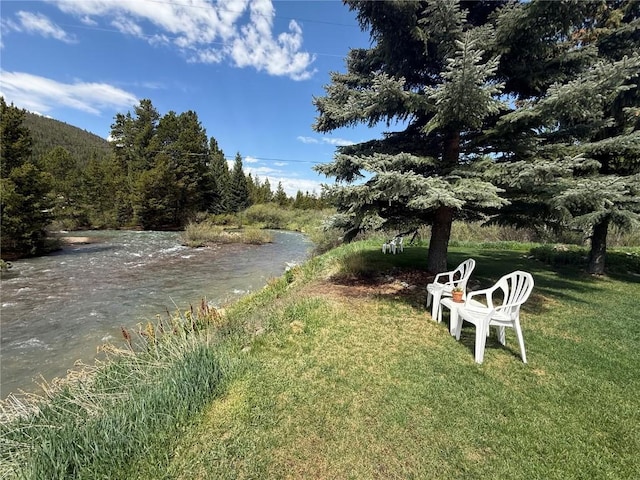 23004 US Highway 6 Unit 103, Keystone, CO 80435 - view of grassy yard