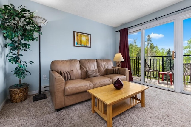 2883 Burgess Creek Rd Unit 203, Steamboat Springs, CO 80487 - carpeted living area featuring a baseboard heating unit, a textured ceiling, and baseboards