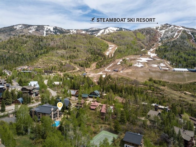 2883 Burgess Creek Rd Unit 203, Steamboat Springs, CO 80487 - photo 3