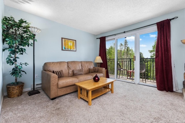 2883 Burgess Creek Rd Unit 203, Steamboat Springs, CO 80487 - photo 33