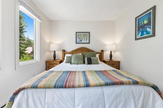 2883 Burgess Creek Rd Unit 203, Steamboat Springs, CO 80487 - bedroom featuring a textured ceiling