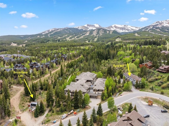 705 Four Oclock Rd Unit M4, Breckenridge, CO 80424 - photo 28