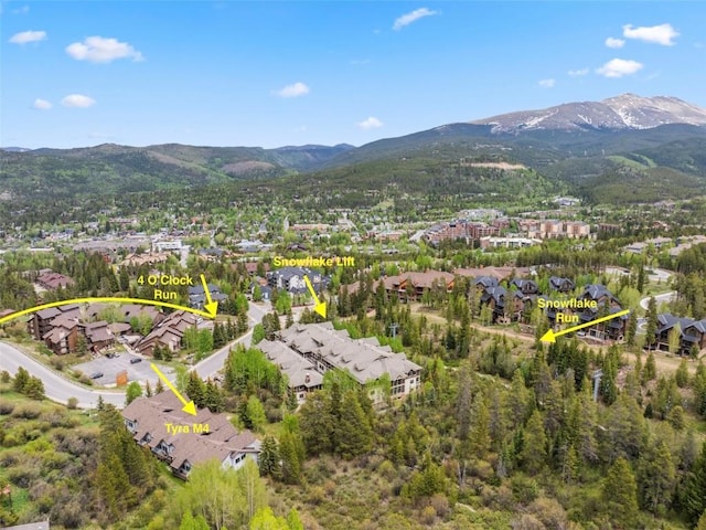 705 Four Oclock Rd Unit M4, Breckenridge, CO 80424 - photo 29