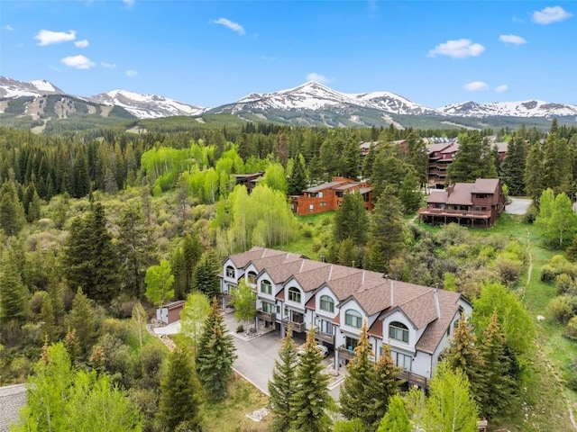 705 Four Oclock Rd Unit M4, Breckenridge, CO 80424 - photo 2