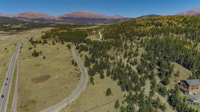 459 Platte River Dr, Fairplay, CO 80440 - photo 22