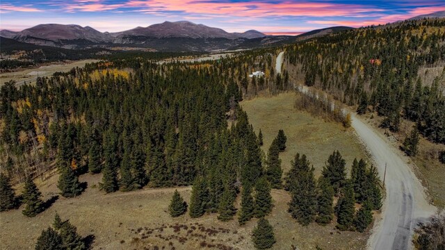 459 Platte River Dr, Fairplay, CO 80440 - photo 6