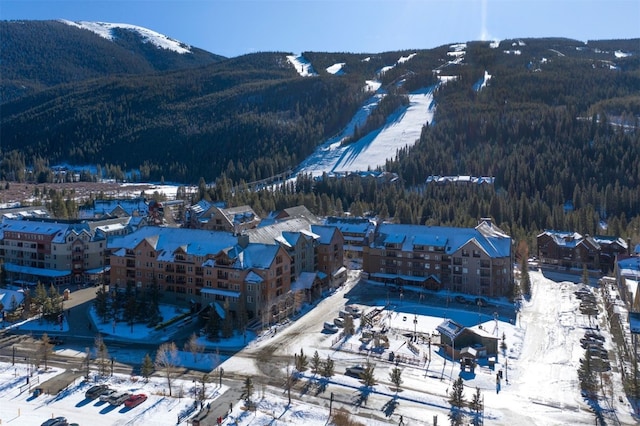 100 Dercum Sq Unit 8342, Keystone, CO 80435 - mountain view with a forest view