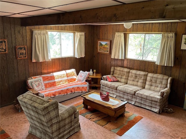 living room with wood walls