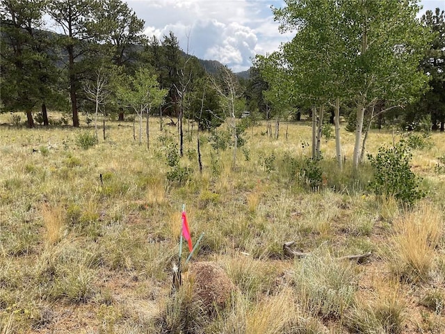 view of local wilderness with a view of trees