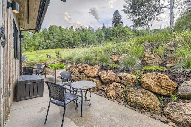 313 Raven Golf Ln, Silverthorne, CO 80498 - view of patio / terrace