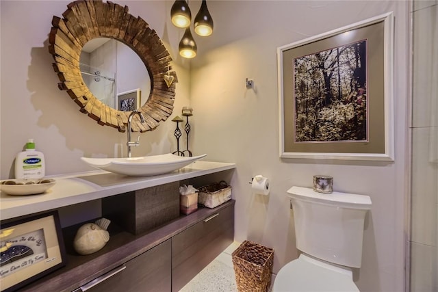 313 Raven Golf Ln, Silverthorne, CO 80498 - bathroom featuring vanity and toilet