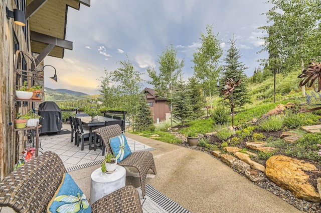 313 Raven Golf Ln, Silverthorne, CO 80498 - view of patio featuring outdoor dining space and grilling area